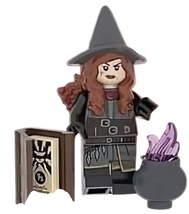 Brand New Lego Dungeons &amp; Dragons Tasha the Witch Queen with Cauldron - $18.00