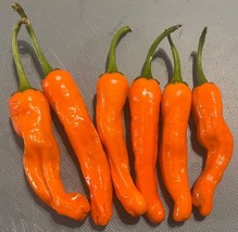 FMG 20 Orange Shishito Sweet Non-Gmo Organic Sweet Pepper Seeds Fast Grow - $9.25