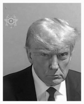 President Donald Trump Mugshot Fulton County B&amp;W 8X10 Photo Reprint - £6.67 GBP