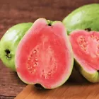 Pink Guava Seeds Psidium guajava Seed Organic Fruit Tropical Fruit 50 Seeds - $5.99