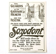 Sozodont Toothpaste Dentrifice 1897 Advertisement Victorian Dental ADBN1A10 - $19.99