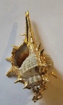 Vintage Conch Shell Pendant with Gold Tone Accents - £14.07 GBP