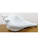 Decorative Crate and Barrel Large White Ceramic Ribbed Conch Shell - £84.85 GBP