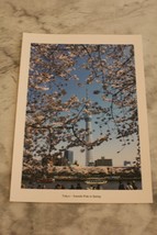 Tokyo Japan Sumida Park in Spring Postcard - £6.05 GBP