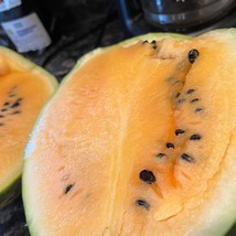 New Seeds 20 Golden Honey Watermelon Seeds #19 USA Seller - £5.17 GBP