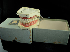 Vintage 1950s dentist denioform - jaw and teeth - dentist cabinet gift - Dental  - £175.73 GBP