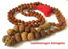 Rudraksha Siddha Mala 1 Mukhi To 14 Mukhi Rudraksha Java Origin Lab Cert... - £331.54 GBP