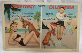 Herz Postcard Linen Greetings From California Ass Basking in Sunshine Freeze Ice - £2.32 GBP