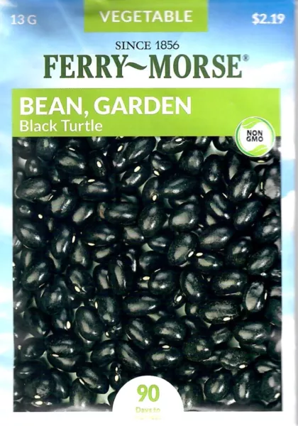 Beans Black Turtle Non-Gmo Vegetable Seeds - Ferry Morse 12/24 Fresh Garden - $7.90