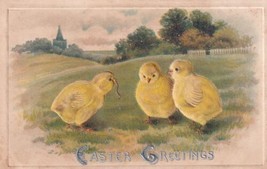 Easter Greetings Baby Chicks Postcard D11 - £2.41 GBP