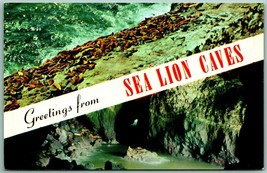 Dual  View Banner Greetings Sea Lion Caves Florence OR UNP Chrome Postcard G3 - $2.92