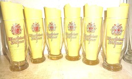 6 Warsteiner Pilsener Cramer Warstein Vintage German Beer Glasses - £27.69 GBP