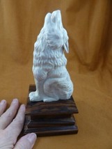 wolf-w44 XL sitting Wolf shed ANTLER figurine Bali detailed carving love... - £250.32 GBP