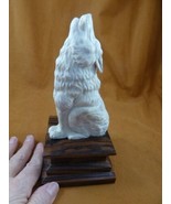 wolf-w44 XL sitting Wolf shed ANTLER figurine Bali detailed carving love... - $316.84