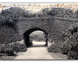 Ivy Arch Delaware Park Buffalo New York NY 1906 Rotograph UDB Postcard U4 - $1.93