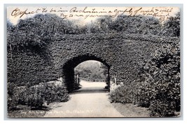 Ivy Arch Delaware Park Buffalo New York NY 1906 Rotograph UDB Postcard U4 - £1.51 GBP