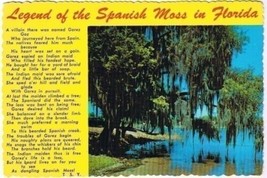 Curteich Florida Postcard Legend of the Spanish Moss Scalloped Edge - $2.96