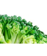 500 Seeds Waltham Broccoli Heirloom NON-GMO Microgreens or Planting Fresh Seeds - $3.58