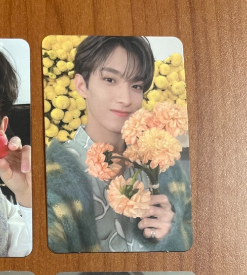 DOKYEOM Seventeen Official Photocard &#39;Your Choice&#39;_Kpop Authentic - $4.95