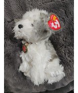 Ty  Beanie Baby - ZODIAC DOG 2006 A/P  EXCLUSIVE With Tags - $47.32 CAD