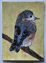 ACEO Original Art Acrylic Bird on Branch Painting - $5.00