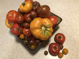 27 Varieties Organic Non GMO Heirloom Tomatoes, 10/25/50/100 Seeds - $2.48