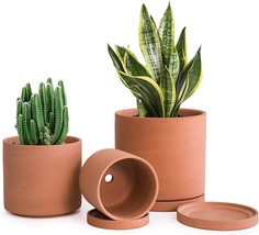 D&#39;Vine Dev Terracotta Pots For Plants, 4.2 Inch 5.3 Inch 6.5 Inch, Succulent, 1 - £34.28 GBP