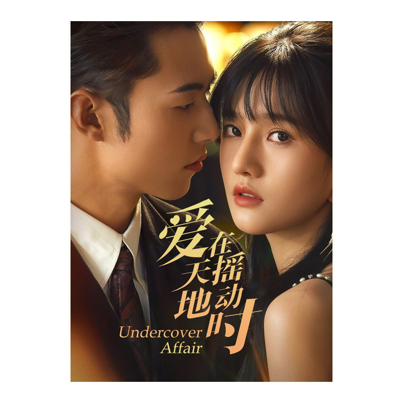  Undercover Affair (2024) Chinese Drama - $59.00