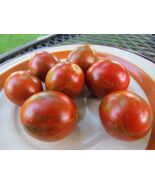 Danube - chunky chocolate striped cherry tomato with robust flavor - $5.75