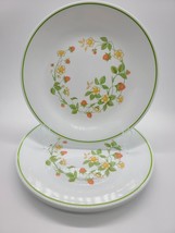 Corelle Strawberry Sunday 4-Dinner Plates 10¼in D. - $69.29