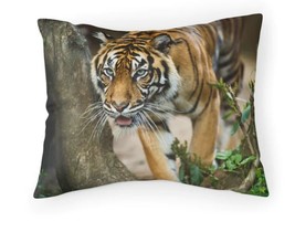 Tiger wildlife closeup Pillow Sham 26 inches by 20 inches - £18.38 GBP