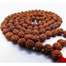 11 Mm Lab Certified 5 Mukhi Rudraksha Rudraksh Mala Rosary 108+1 Big Beads, Red - £20.48 GBP