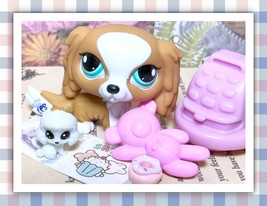 Authentic Littlest Pet Shop LPS #1825 Special Edition King Charles Spaniel Dog - $43.49