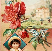 C1900 Victorian Trade Greeting Card Boy Floral Landscape Embossed Antiqu... - $373.29 MXN