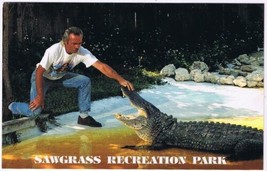 Postcard Jumbo The Alligator Sawgrass Recreation Park Seminole Village Florida - £2.27 GBP