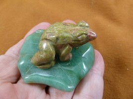 (Y-FRO-LP-712) Green orange FROG frogs LILY PAD stone gemstone CARVING f... - $17.53