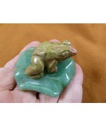 (Y-FRO-LP-712) Green orange FROG frogs LILY PAD stone gemstone CARVING figurine - $17.53