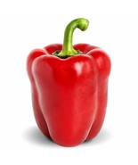 Big Red Sweet Bell Pepper 30 Seeds - $9.58