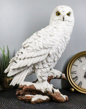 Mystical White Snow Owl Bird Statue 12.25&quot;Tall Nocturnal Bird Wildlife Owl Decor - £38.27 GBP