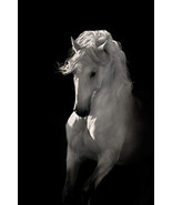 Into The Light by Robert Dawson Canvas Giclee White Horse Open Edition - £193.98 GBP