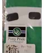 Pony Pride 3x5ft Poly Flag LGBTQ My Little Pony Pride Month Queer Pride ... - $57.69 MXN