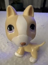 Littlest Pet Shop Bull Terrier Puppy Dog Purple Eyes Figure - £9.34 GBP