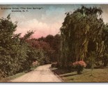 Entrance Drive to Glen Springs Watkins NY UNP Albertype DB Postcard W19 - £3.91 GBP