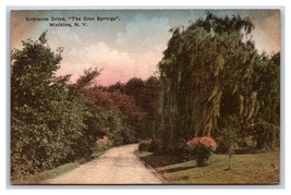 Entrance Drive to Glen Springs Watkins NY UNP Albertype DB Postcard W19 - £3.85 GBP