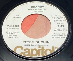 Peter Duchin Rock 45 Vinyl Record Brandy Day By Day Promo Warner Bros VG... - £5.50 GBP
