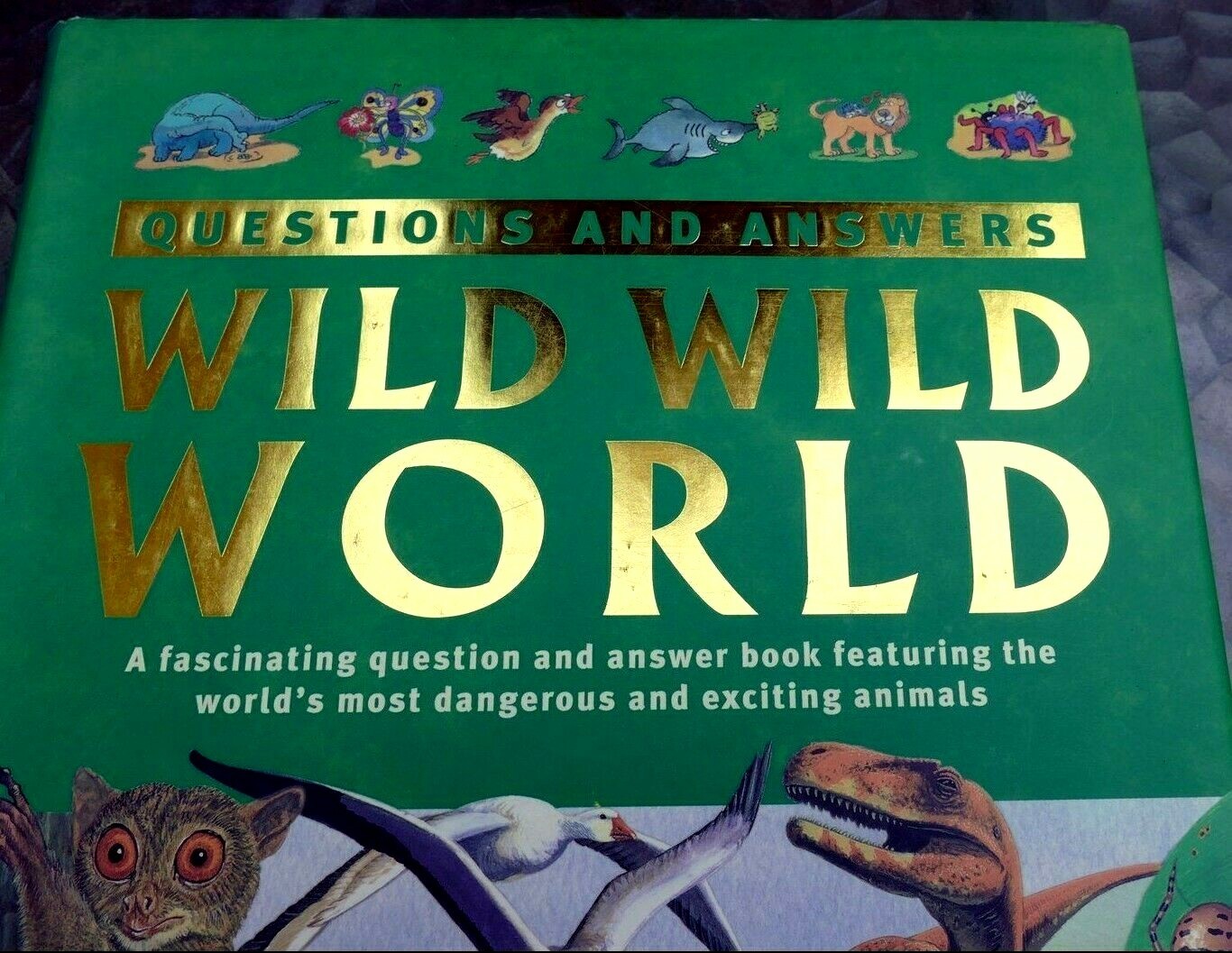 Questions Et Réponses Sauvage Wild Monde (Reliure) Livre Dangereux Excitant - $16.43