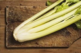 Fresh 1000 GOLDEN SELF-BLANCHING CELERY Burpee Dwarf Apium Graveolens Seeds - $3.50