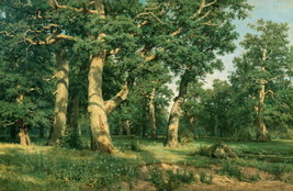 Decor Oak forest by Ivan Shishkin oil Painting Wall art Giclee Printed on Canvas - £7.56 GBP+