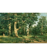 Decor Oak forest by Ivan Shishkin oil Painting Wall art Giclee Printed o... - £7.60 GBP+