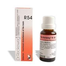 Dr. Reckeweg R54 (Imbelion) (22ml) - £9.93 GBP